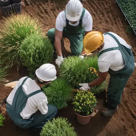 Drei Gärtner pflanzen gemeinsam Sträucher und Blumen im Garten für Landschaftsbau.