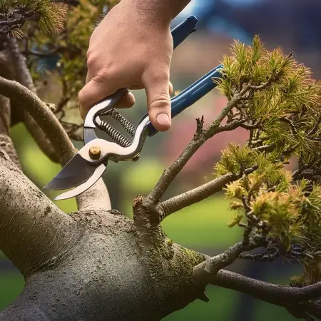 Eine Hand schneidet mit einer Gartenschere einen Ast beim Baumschnitt im Garten.