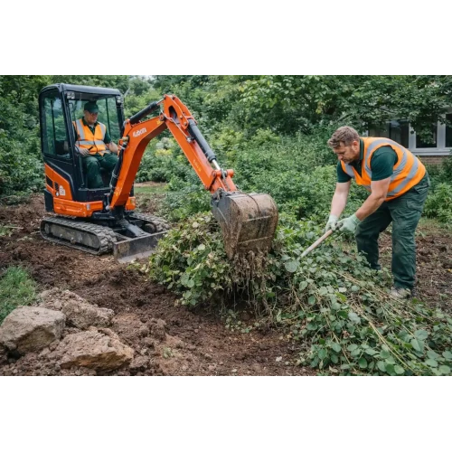 Zwei Gärtner entfernen mit Minibagger und Rechen Sträucher bei Gartenarbeiten im Grünen.